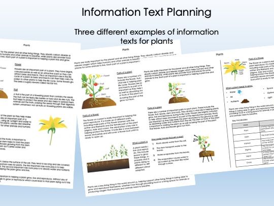 Examples of Information Texts - Plants (x3)