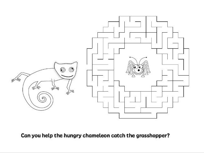 Chameleon maze.